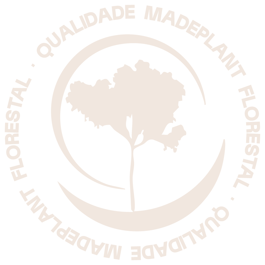 MADEPLANT - Recrutamento e Seleção