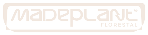 MADEPLANT - Recrutamento e Seleção